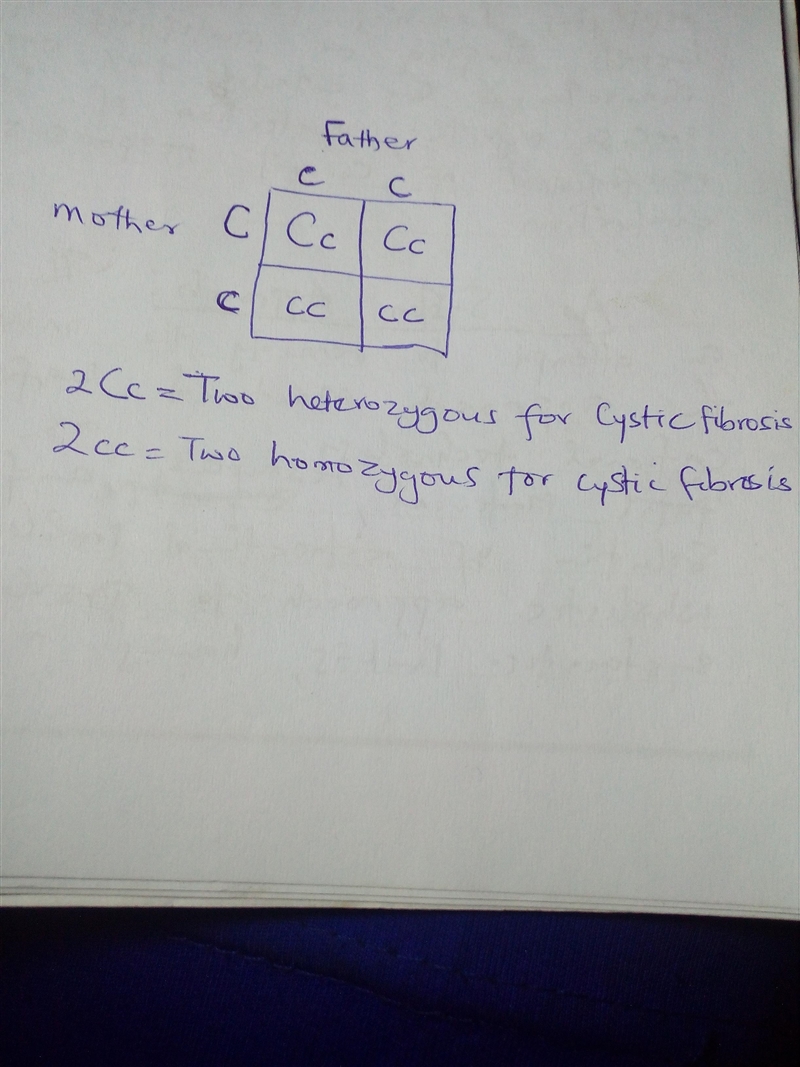 A woman who is a carrier (heterozygous) for Cystic Fibrosis marries a man who has-example-1