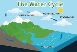 How would you explain the water cycle to a fifth grader-example-1