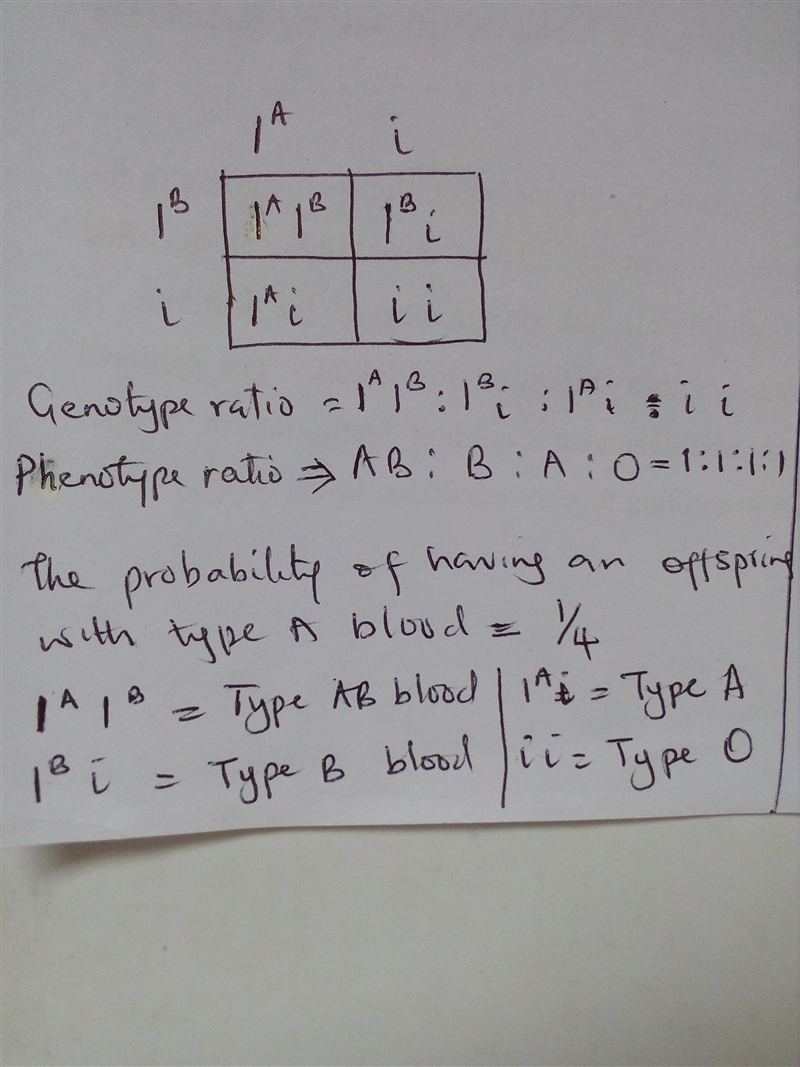 Consider the genetic cross for blood type of these two parents. The father is type-example-1