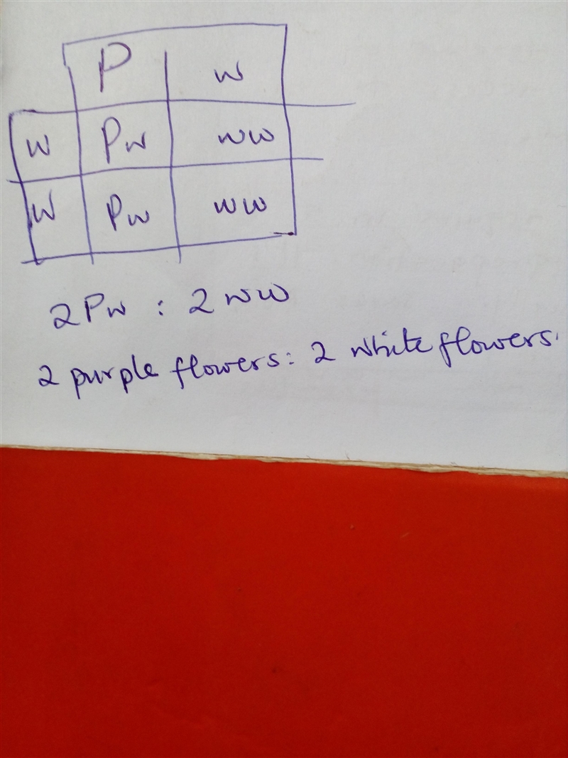 10. Refer to the partially completed Punnett square. Purple flowers (P) are dominant-example-1