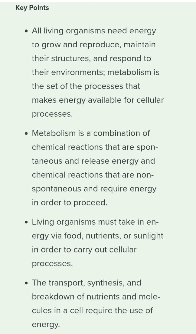 PLEASE HELP How much energy stored within an organism? How much energy is lost as-example-2