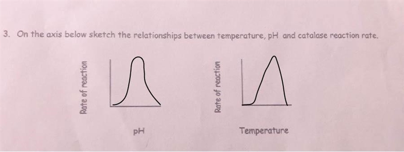 Can someone tell how to do this?-example-1