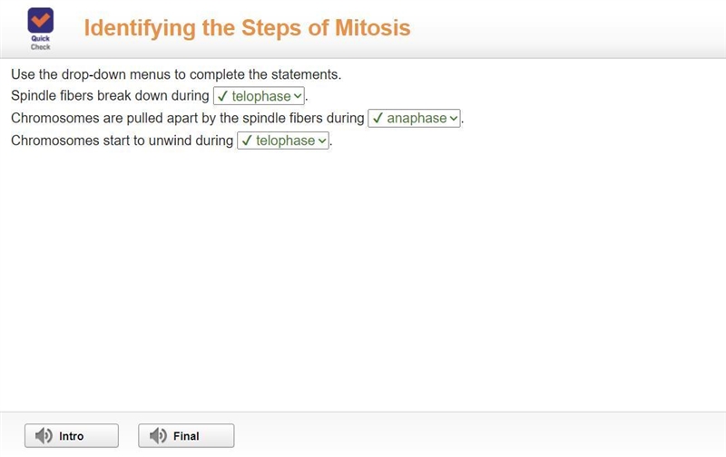 Use the drop-down menus to complete the statements. Spindle fibers break down during-example-1