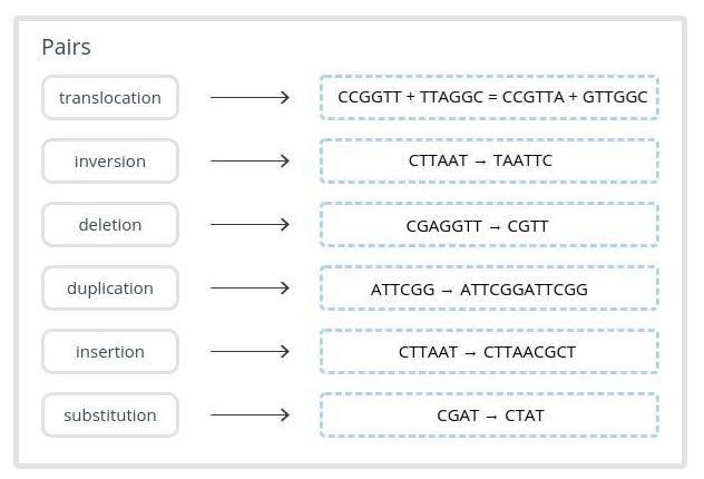 Match the genetic mutations with their names.-example-1