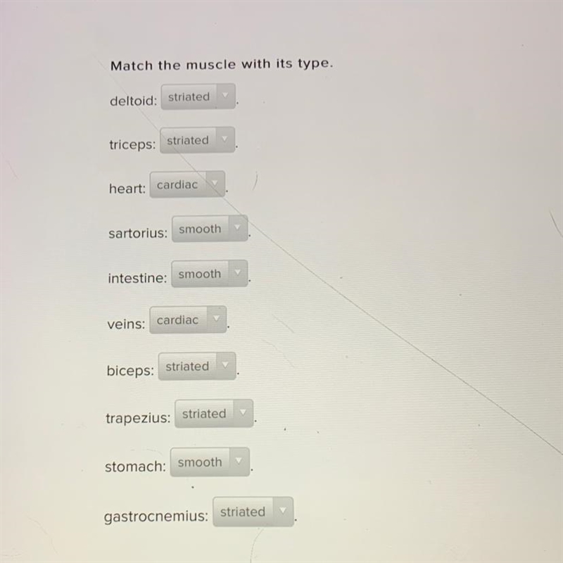 Match the muscle with its type. deltoid: (straited, smooth, or cardiac) triceps: (straited-example-1