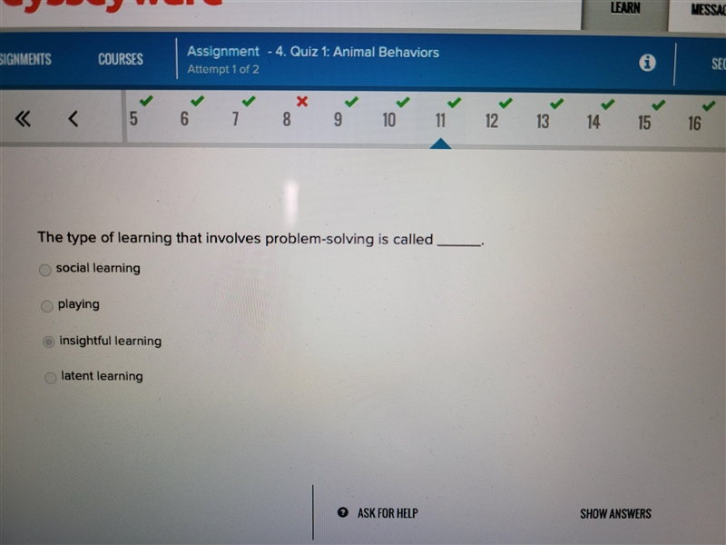 The type of learning that involves problem-solving is called _____.-example-1