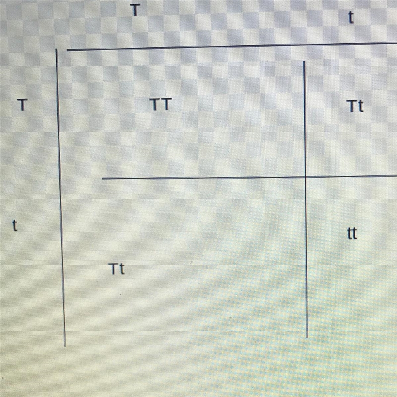 What is it acts need to do Create a Punnett square to model sexual reproduction with-example-1