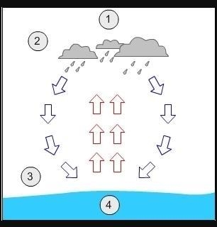 Michelle drew a simple diagram to show how a hurricane forms. Which location on the-example-1