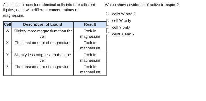 Which shows evidence of active transport? cells W and Z cell W only cell Y only cells-example-1