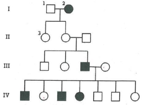 1. In a pedigree, a square represents a male. If it is darkened he has hemophilia-example-1