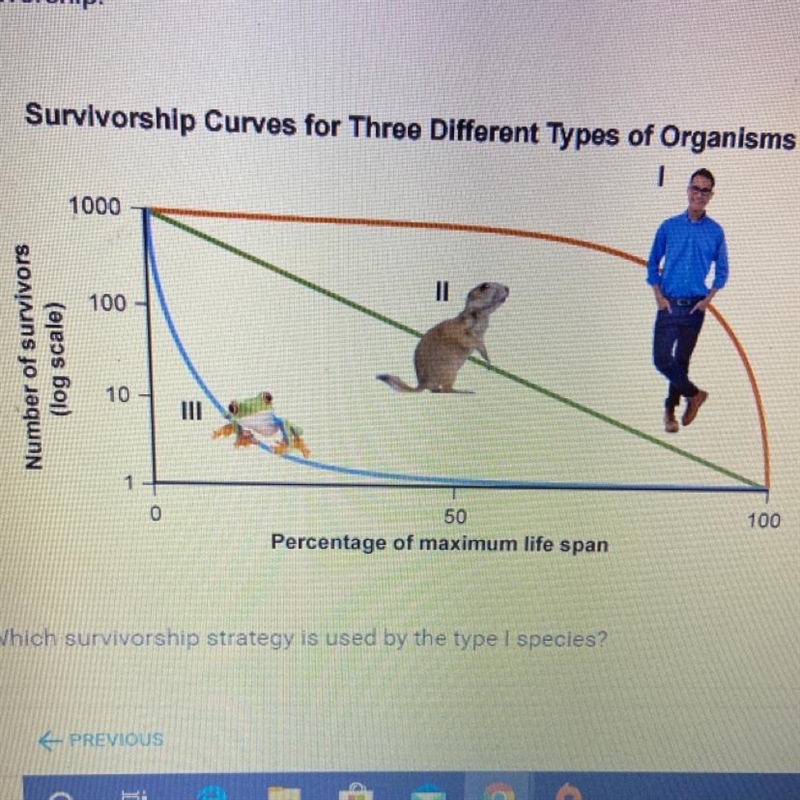 This graph shows three types of species based on the different patterns of survivorship-example-1