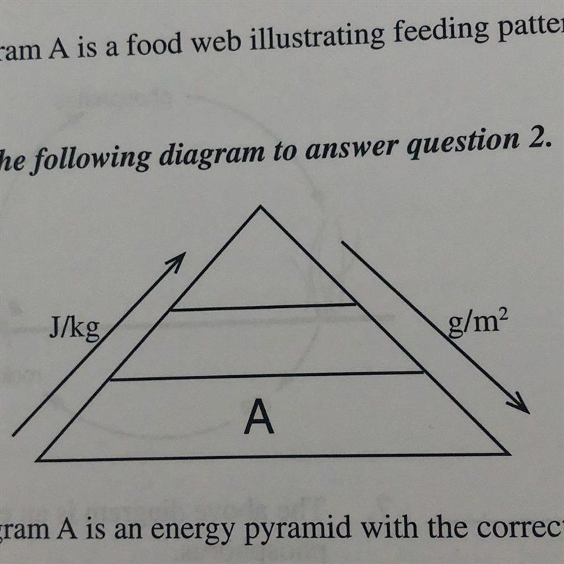 True or false, diagram A is an energy pyramid with the correct simple concepts??-example-1