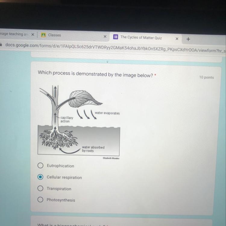 Which process is demonstrated by the image below? * 10 points water evaporates capillary-example-1