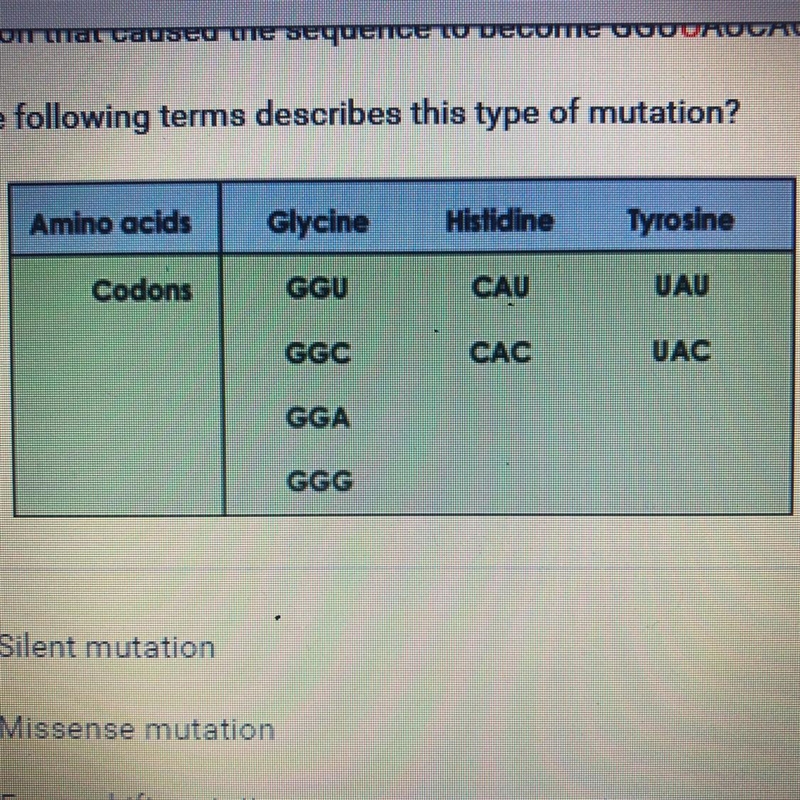 A molecule of mRNA with the sequence GGUCAUCACUAU experienced a point mutation that-example-1