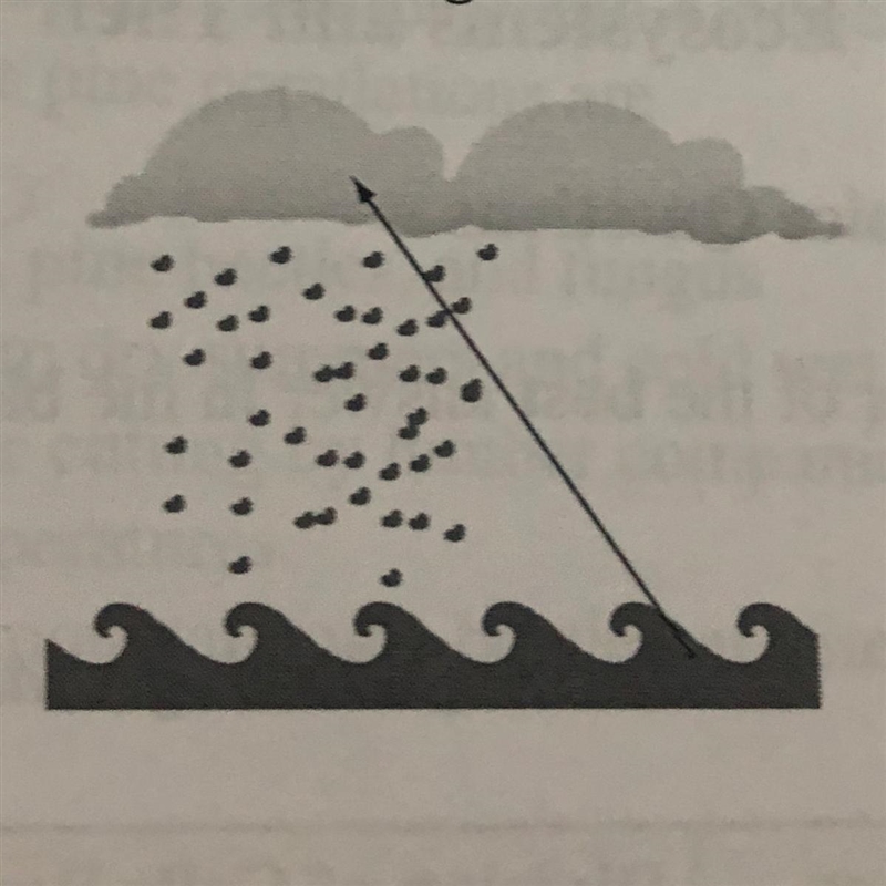 True or false is this diagram an example of a short water cycle over the ocean? and-example-1