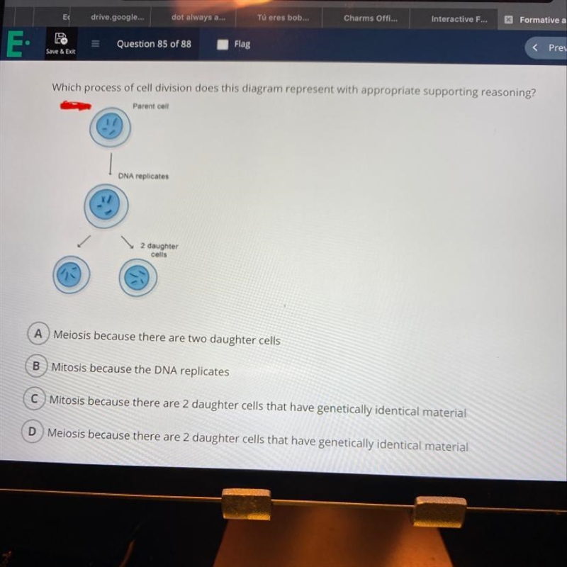 Which process of cell division does this diagram represent with appropriate supporting-example-1