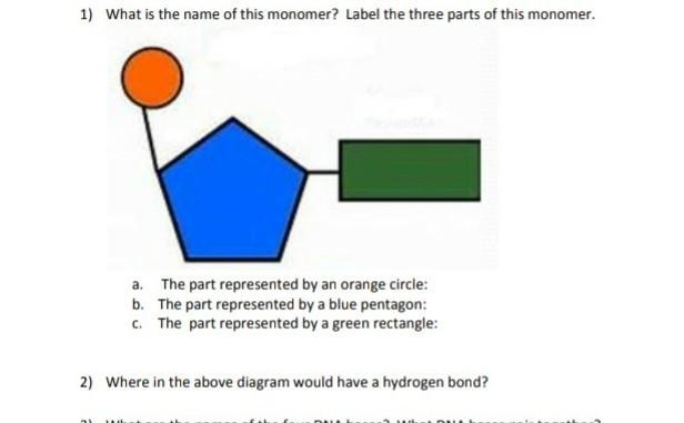 What is the name is of this monomer​-example-1