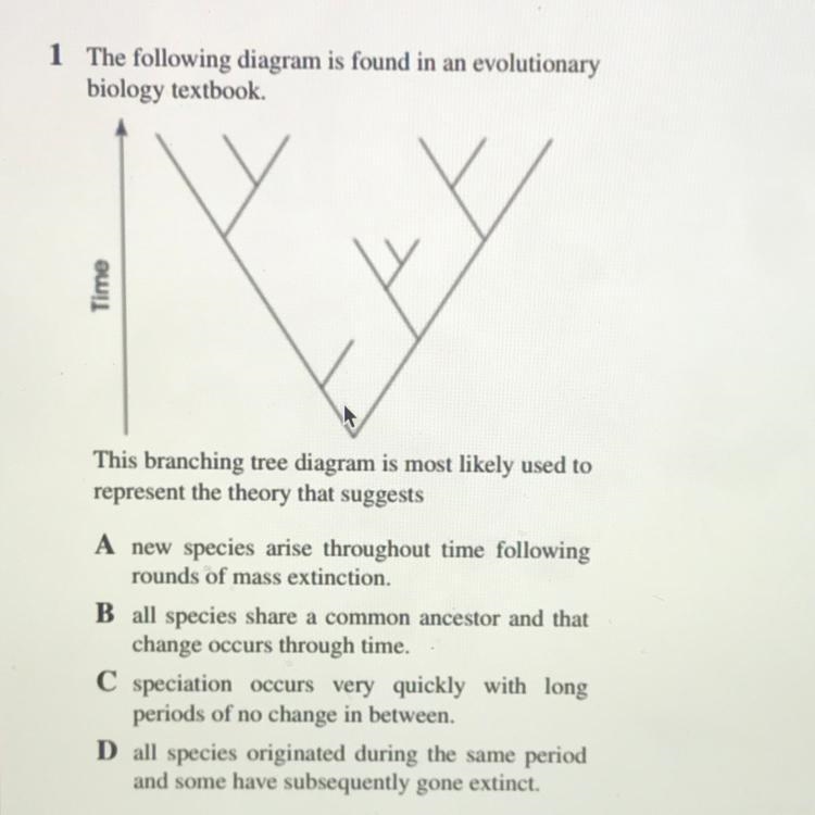 This branching tree diagram is most likely used to represent the theory that suggests-example-1