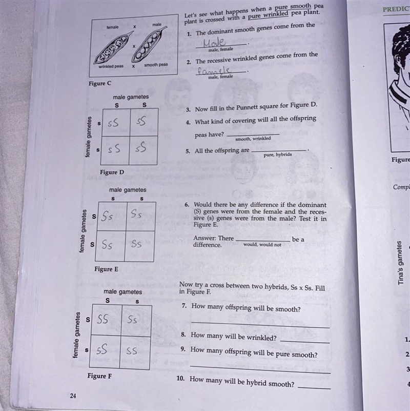 Help me!! Idk if it’s right and and I need the answers-example-1