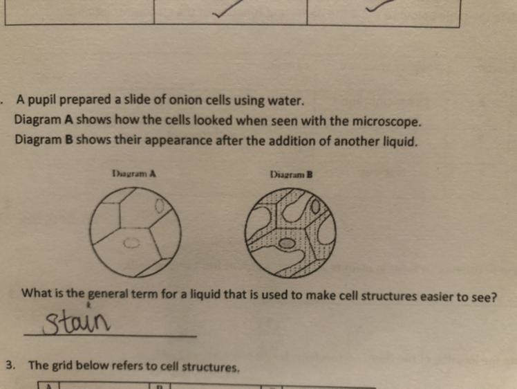 What is the general name for a liquid that is used to make cell structures under a-example-1