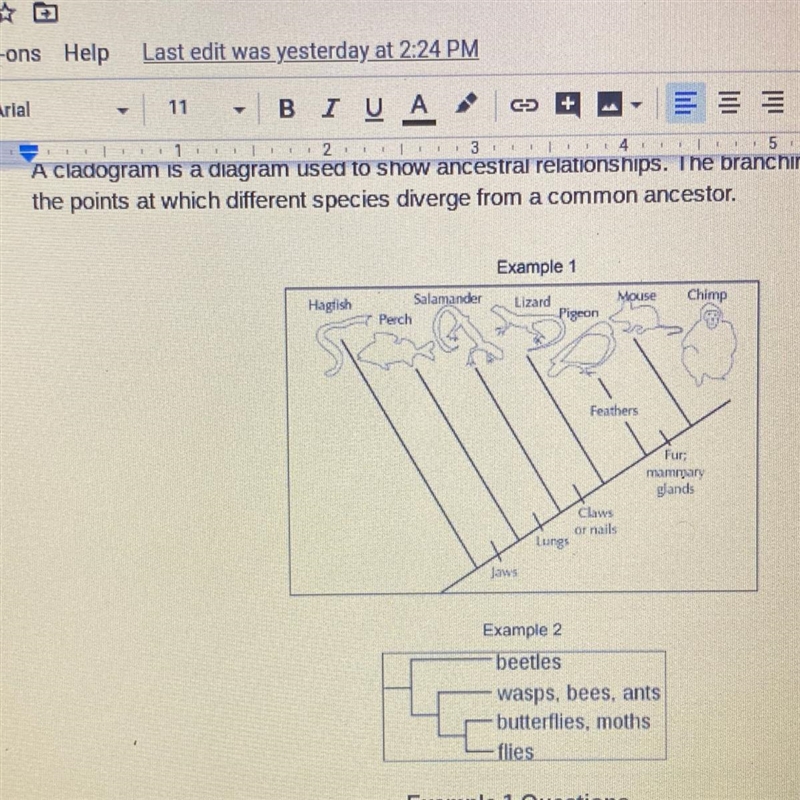 Who is the oldest organism in example #1 ?-example-1