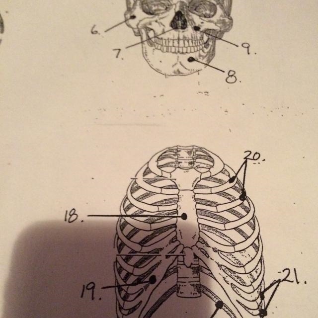 Help me labels this-example-1