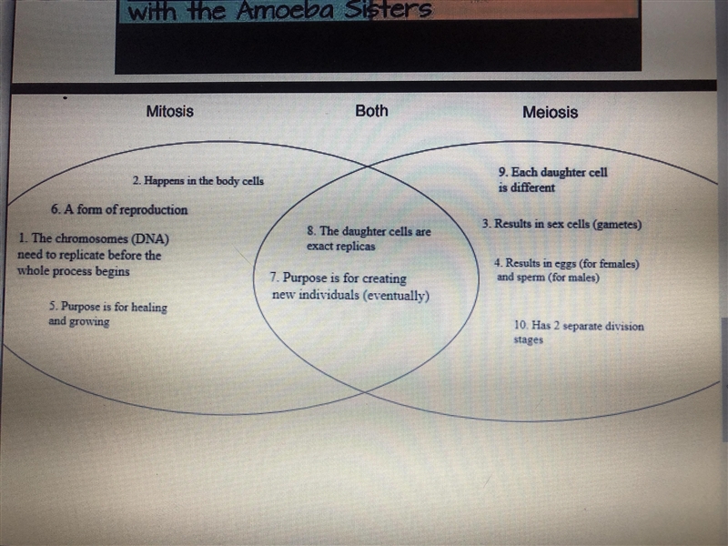 Can somebody sort these correctly? 6/10 are correct! Mitosis vs Meiosis-example-1