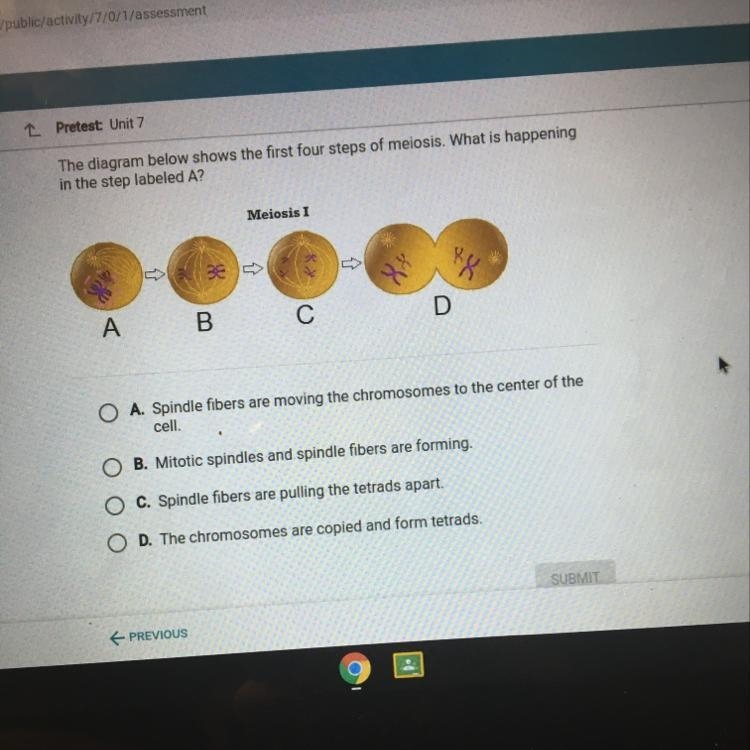 The diagram below shows the first four steps of meiosis. What is happening in the-example-1