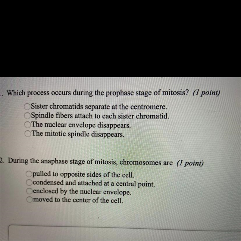 I need help with both please-example-1