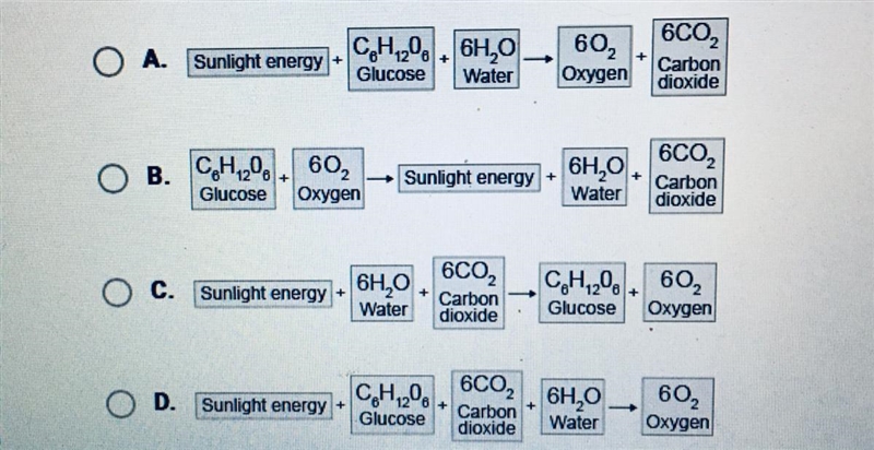 Which description accurately summarizes photosynthesis?-example-1