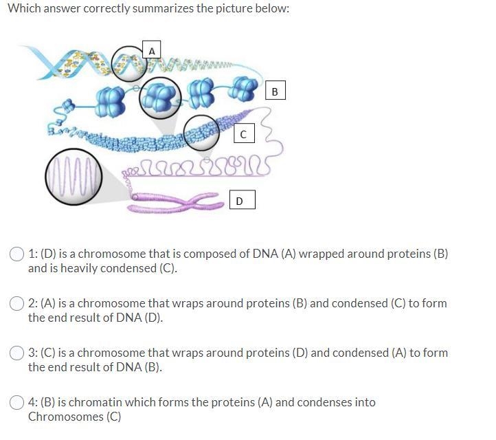 HELP BIO ASAP!!!!!!!!-example-1