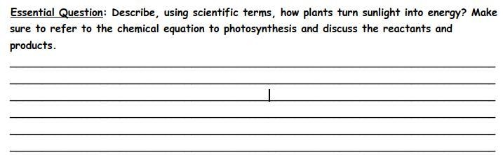 Please help The question is in the picture linked to this question Thank you also-example-1