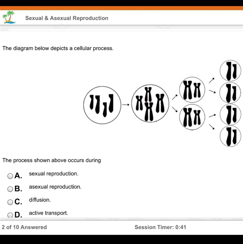 Study island question!!-example-1