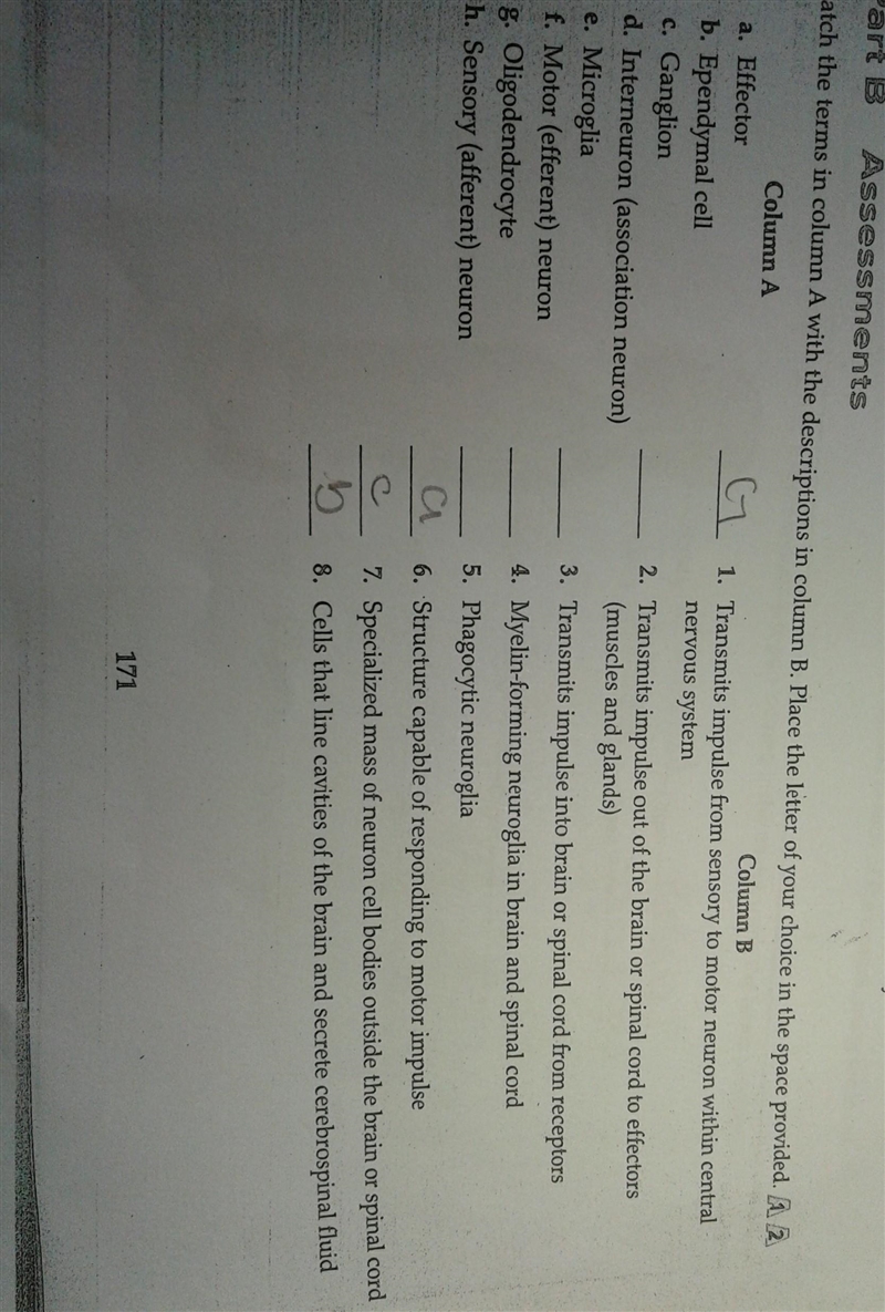 Match the terms in column A with the descriptions in column B. Mace the latter of-example-1