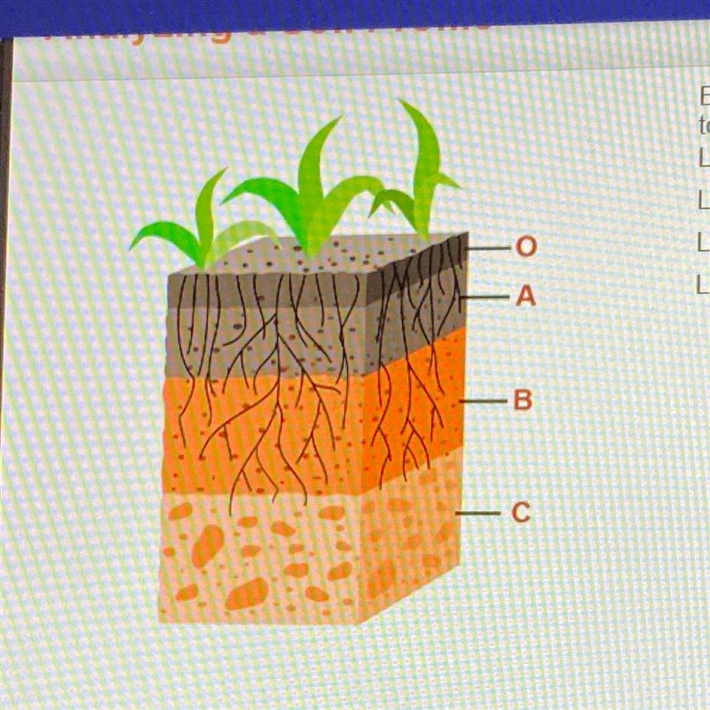 Examine the soil profile and use the drop-down menu to select what each label identifies-example-1