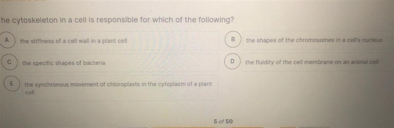 The cytoskeleton in a cell is responsible for which?-example-1