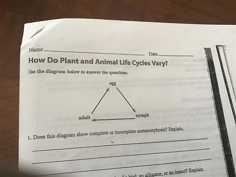 Does this diagram show complete or incomplete metamorphosis?Explain.y-example-1