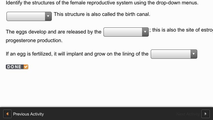 Identify the structure of the female reproductive system using the drop down menus-example-1