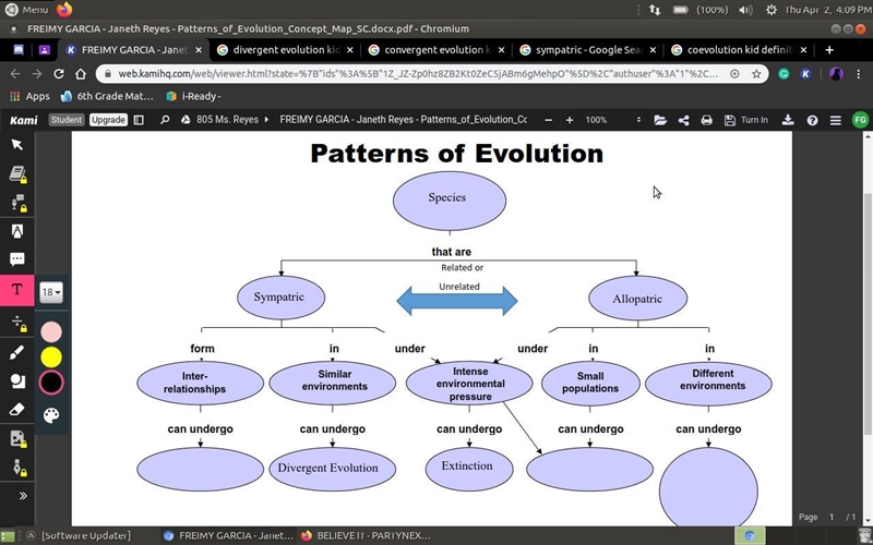 Need help with this evolution chart some I've filled in yet I'm not sure if they are-example-1