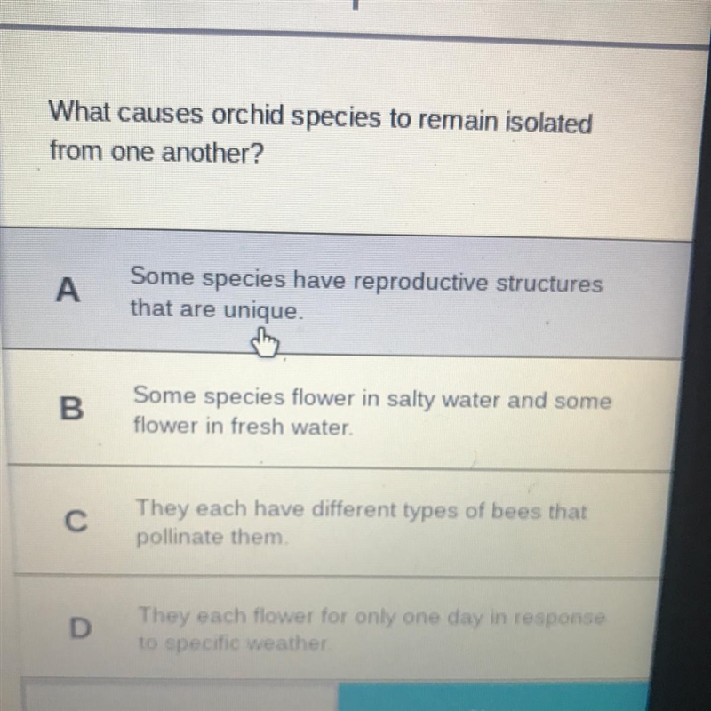 What causes orchid species to remain isolated from one another?-example-1