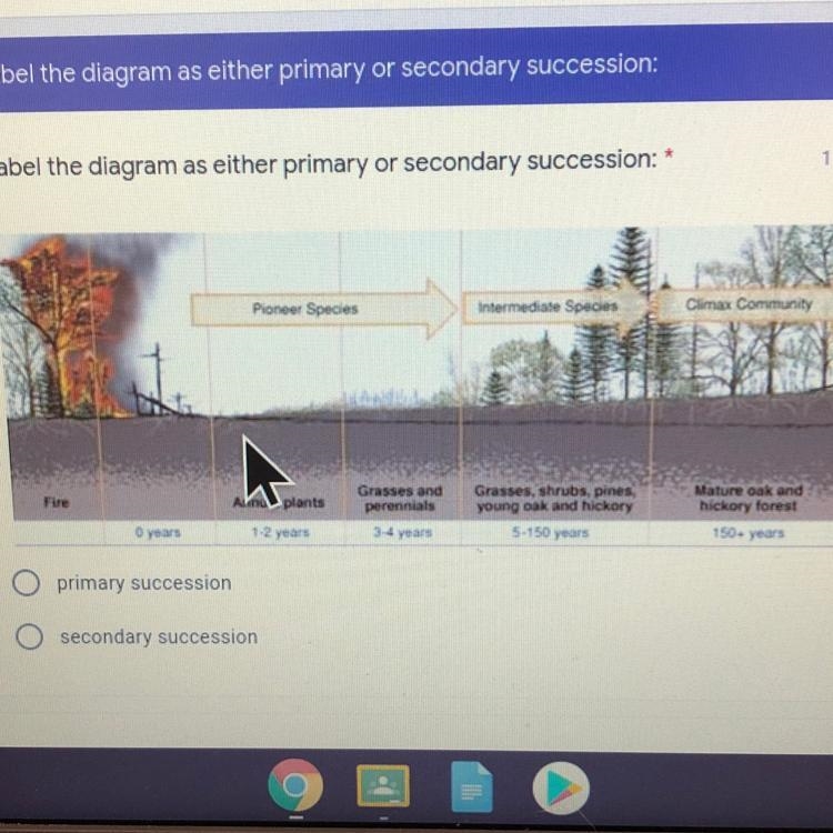 Is this primary or secondary succession?-example-1