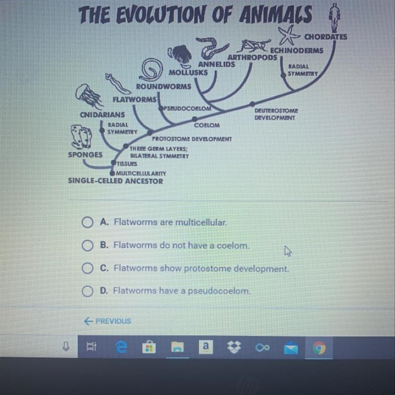 According to the diagram below, which of the following is a derived characteristic-example-1