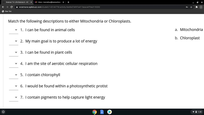 Science question that I REALLY need help with:-example-1