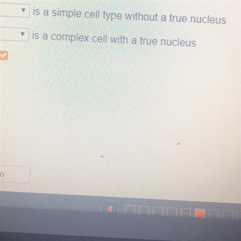 Blank ....is a simple cell type without a true nucleus Blank ...is a complex cell-example-1