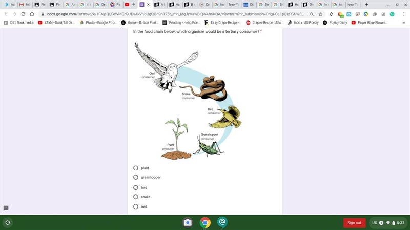 In the food chain below, which organism would be a tertiary consumer? * plant grasshopper-example-1