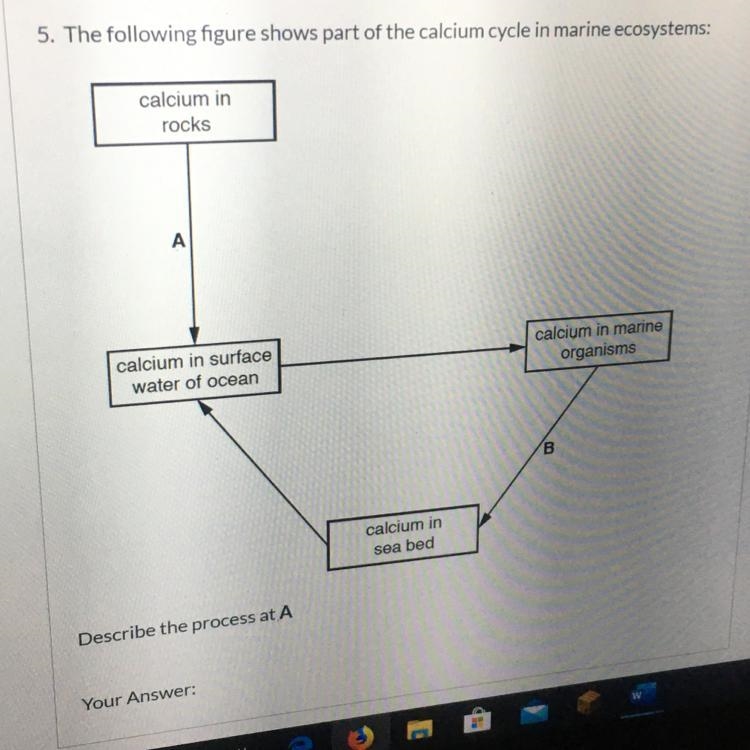 URGENT !! 5. The following figure shows part of the calcium cycle in marine ecosystems-example-1