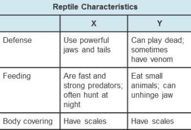 The chart shows characteristics of two groups of reptiles. Which headings correctly-example-1