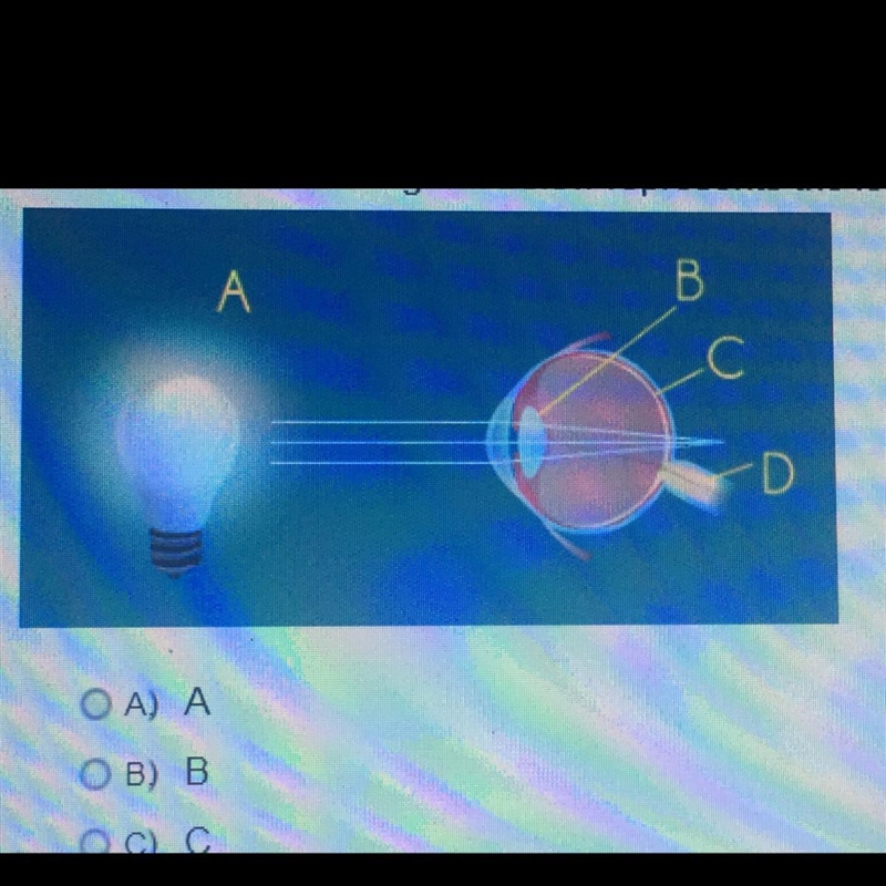 Which letter on the diagram below represents the lens of the eye?-example-1