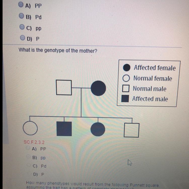 What is the genotype of the mother? A. PP B. pp C. Pd D. P-example-1