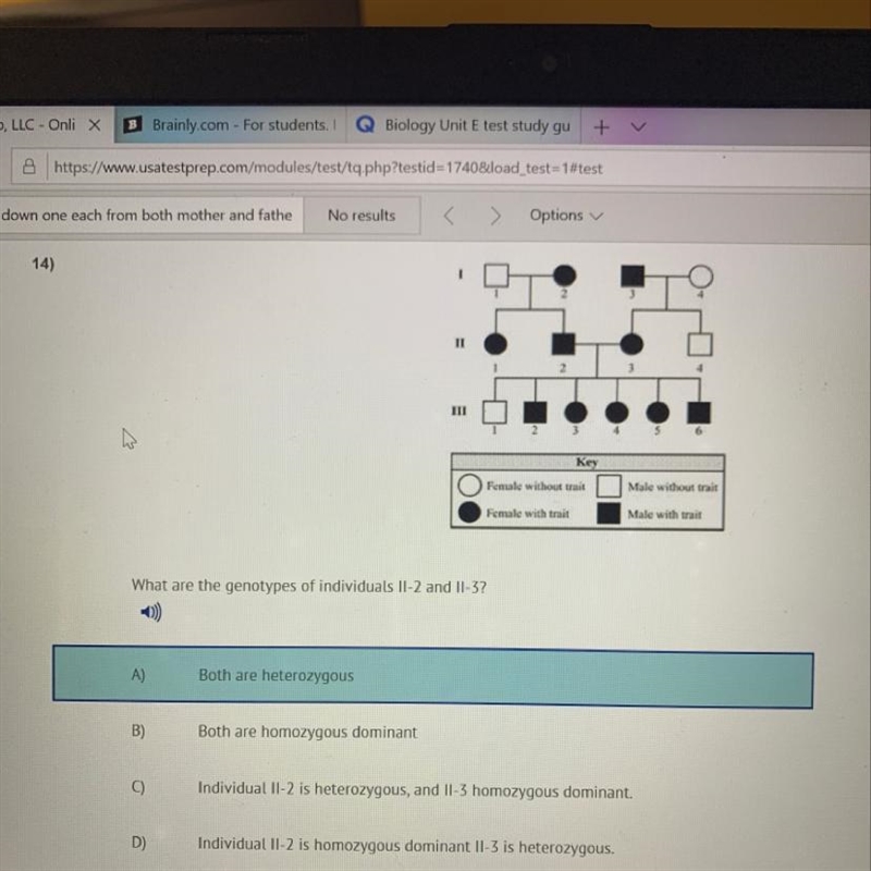 What are the genotypes of individuals 2:2 and 2:3?-example-1